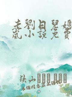 老刘日儿媳妇张岚小说免费阅读