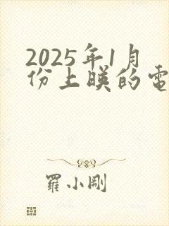 2025年1月份上映的电视剧