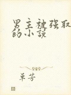 男主被强取豪夺的小说