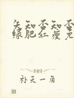 矢知否知否应是绿肥红瘦免费观看全集