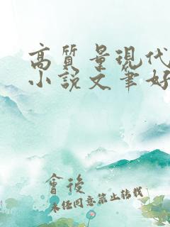 高质量现代言情小说文笔好