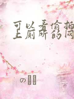 可以看偷拍女人上厕所的网站