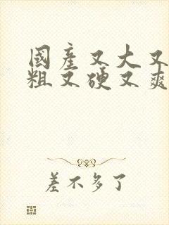 国产又大又长又粗又硬又爽的视频