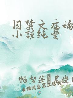 囚禁文病娇偏执小说纯爱