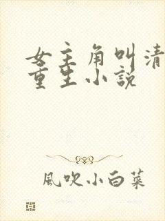 女主角叫清婉的重生小说