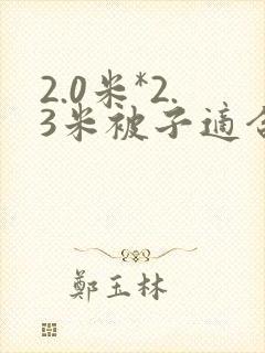 2.0米*2.3米被子适合的被套