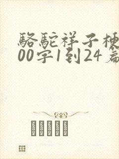 骆驼祥子梗概100字1到24篇