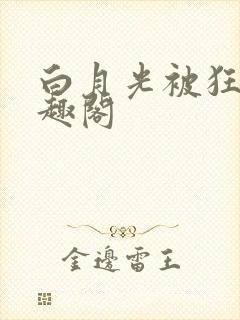 白月光被狂后笔趣阁