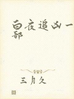 白夜追凶一共几部