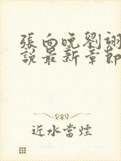 张向晚刘翊京小说最新章节更新时间