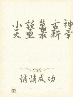 小说万古神帝飞天鱼最新章节列表免费