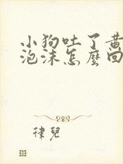 小狗吐了黄色带泡沫怎么回事