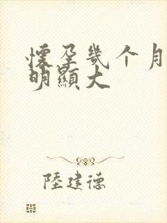 怀孕几个月肚子明显大