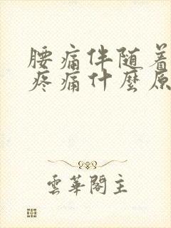 腰痛伴随着小腹疼痛什么原因