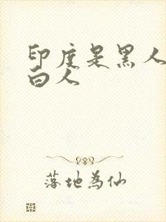 印度是黑人还是白人