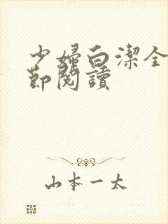 少妇白洁全文章节阅读