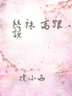 丝袜 高跟 小说