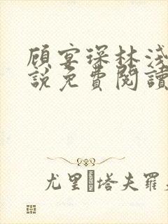 顾宴琛林浅月小说免费阅读最新章节