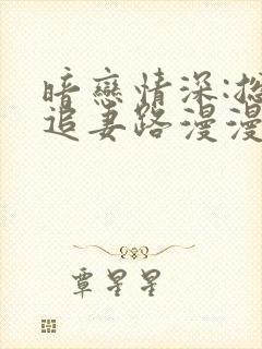 暗恋情深:总裁追妻路漫漫小说