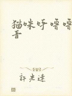 猫咪呼噜噜的声音