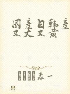 国产日韩产欧美又大又黄