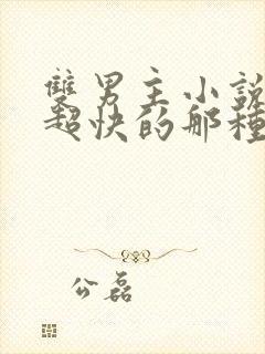 双男主小说车速超快的那种