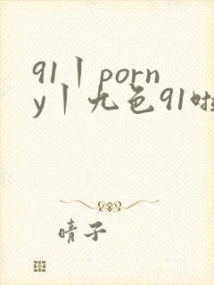 91丨porny丨九色91啦