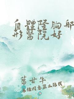 自体隆胸哪家整形医院好