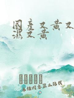 国产又黄又硬又湿又黄