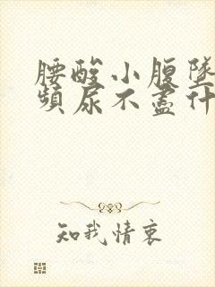 腰酸小腹坠胀尿频尿不尽什么原因