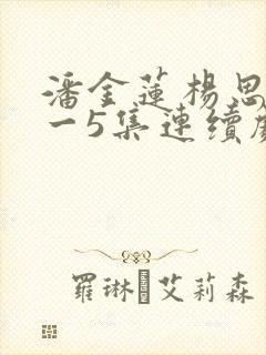 潘金莲杨思敏1一5集连续剧