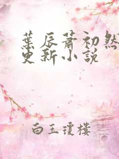 叶辰萧初然最快更新小说