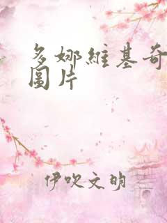 多娜维基奇泳装图片