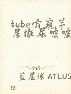 tube偷窥茅房撒尿嘘嘘