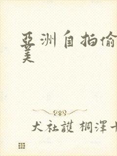 亚洲自拍偷拍欧美