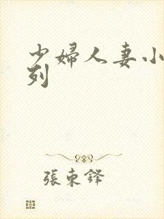 少妇人妻小说系列