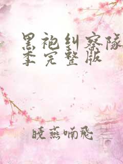 黑袍纠察队第四季完整版