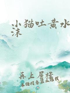 小猫吐黄水带泡沫