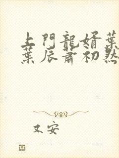 上门龙婿叶辰(叶辰萧初然)