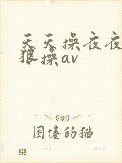 天天操夜夜操狠狠操av