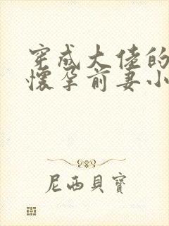 穿成大佬的炮灰怀孕前妻小说