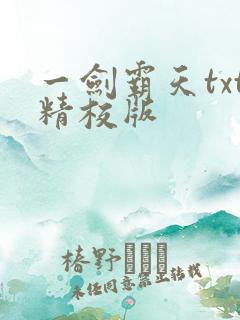 一剑霸天txt精校版