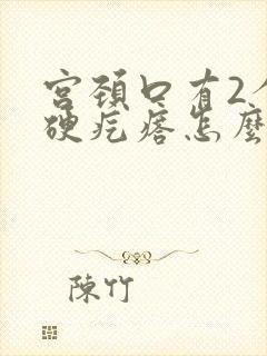 宫颈口有2个小硬疙瘩怎么回事