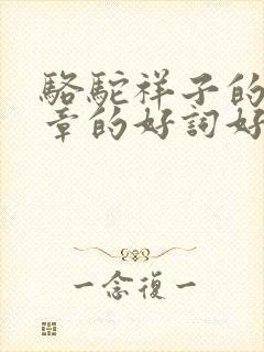 骆驼祥子的第五章的好词好句