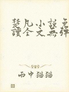 楚凡小说免费阅读全文无弹窗