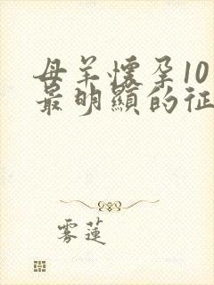 母羊怀孕10天最明显的征兆