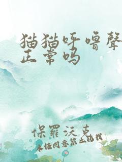 猫猫呼噜声很大正常吗