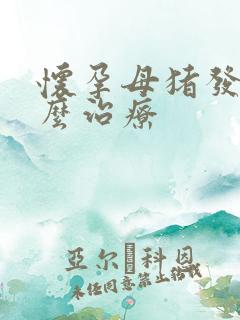 怀孕母猪发烧怎么治疗