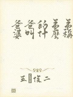 爸爸的弟弟的老婆叫什么称呼