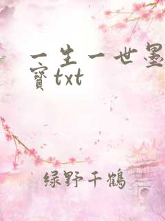 一生一世墨宝非宝txt